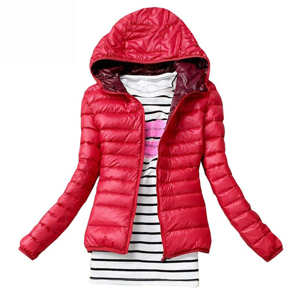 Basic Jacket