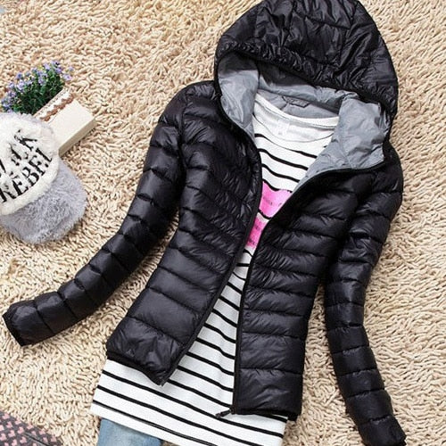 Basic Jacket