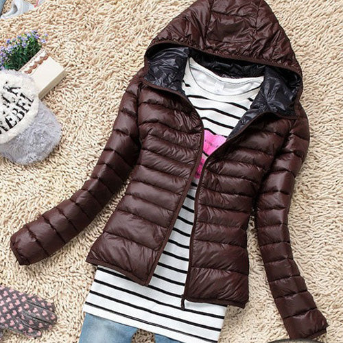Basic Jacket