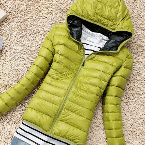 Basic Jacket