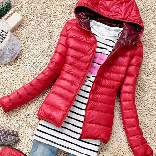 Basic Jacket